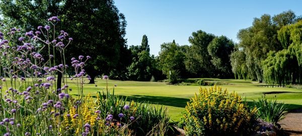 golf club marketing