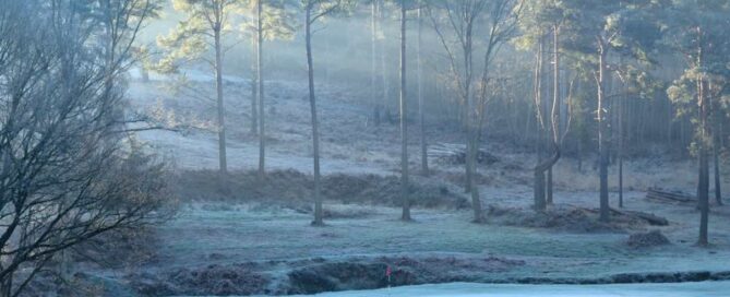 increase golf club memberships